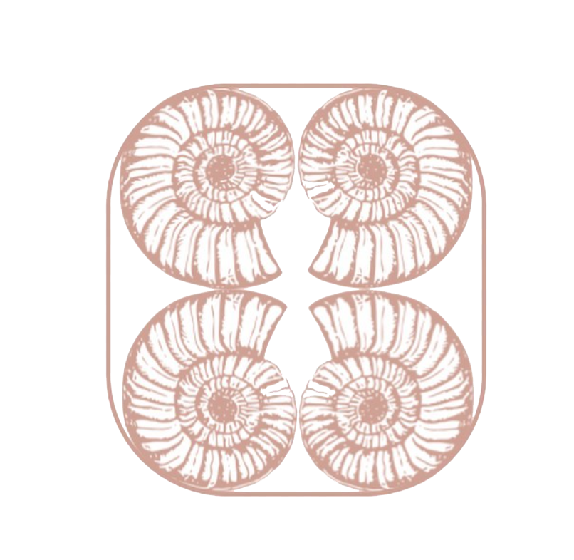 The four shells